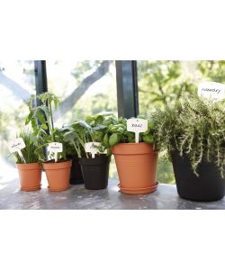 Elho Sottovaso da Giardino - Nero - Ø 25 cm