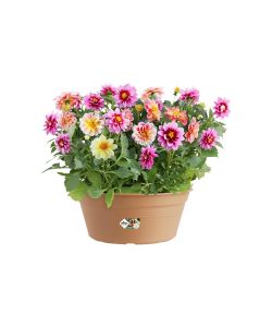 Elho Vaso da Giardino Green Basics - Beige - Ø 27 cm