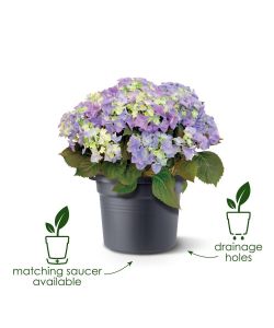 Elho Vaso Cilinder 45 cm Mild Terra per Esterno in Plastica Riciclata