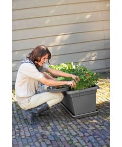 Elho Vaso da Coltura Extra Large Nero - Fioriera 78x39x34,2 cm