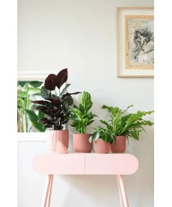 Elho Vibes Fold Vaso Rotondo 14 cm Rosa Delicato in Plastica Riciclata