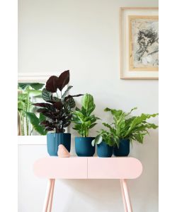 Elho Vibes Fold Vaso per Piante d. 14 cm Blu Profondo Design Moderno