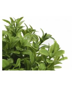 Pianta Artificiale Verde in Vaso Intrecciato d.16x13cm