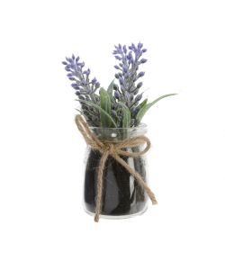 Lavanda con vaso vetro  5 x 10 h cm