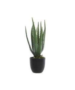 Pianta Aloe Vera artificiale h35cm