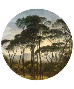 WallArt Carta da Parati Circolare Umbrella Pines in Italy 190 cm