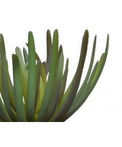 Pianta artificiale Succulent in vaso H 20Cm Tipologie Assortite