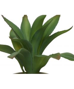 Pianta artificiale Succulent in vaso H 20Cm Tipologie Assortite