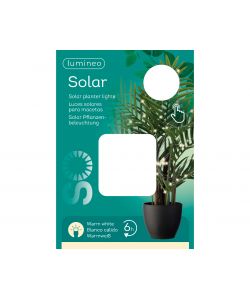 Luci solari per piante