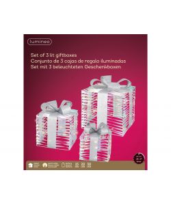 Set scatole regalo decorative con led bianche