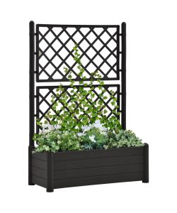 Fioriera da Giardino con Graticcio 100x43x142 cm PP Antracite