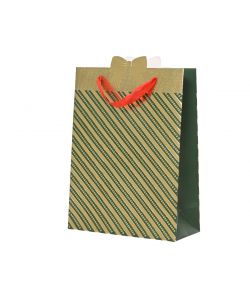 Decoris Busta Regalo - Verde e Oro - 10x26x32cm