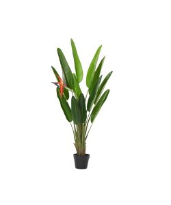 Strelitzia Artificiale Pianta in Vaso 120 h cm - Decorazione per Casa