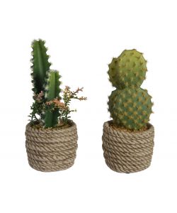 Piantina di cactus artificiale