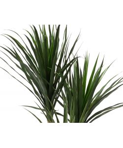 Pianta Dracena artificiale