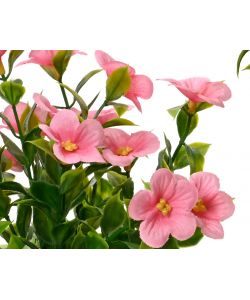 Catharanthus artificiale in vaso