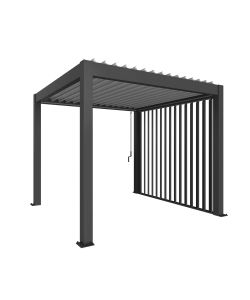 Biohort Parete Laterale a Lamelle 10x235x327 cm Grigio Scuro Metallizzato