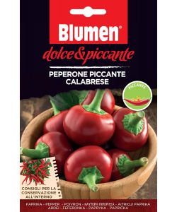 Semi di peperoncino piccante calabrese