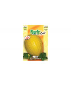 Melone Giallo Canaria