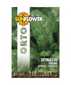 Sementi Spinacio Viking                  Sunflower