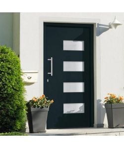 Porta d'Ingresso in Alluminio e PVC Antracite 100x200 cm 3056827